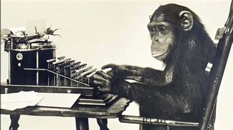 The Monkey Typewriter Experiment 😂💻🐒 Youtube