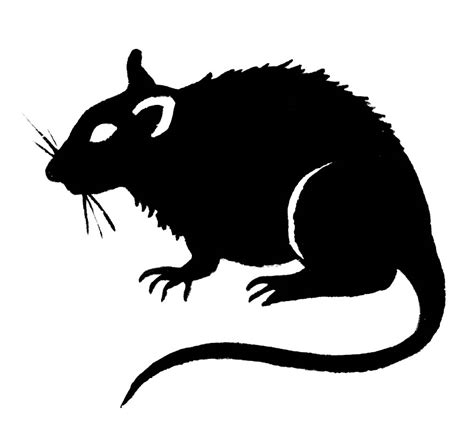 Free Evil Rat Cliparts Download Free Evil Rat Cliparts Png Images