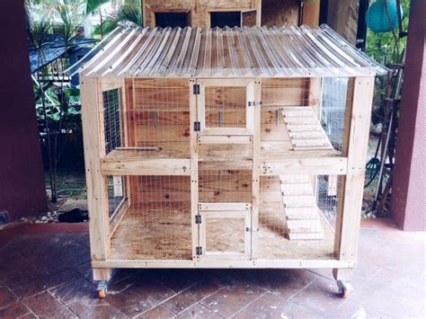 Suatu hari saya melihat pohon kucing besar ini dan semakin saya melihatnya, semakin saya meyakinkan diri sendiri. Pin oleh Adhetya Mindasari di Apa ajalah | Rumah pallet ...