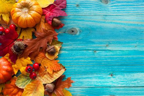 Free Download Gallery For Gt Fall Leaves And Pumpkins Wallpaper