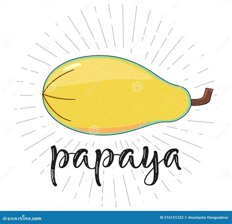 Papaya Fruit Symbol For Farm Market Menu Healthy Food Design Vector