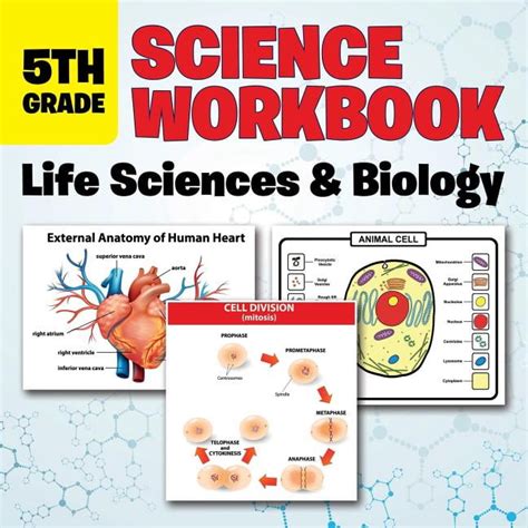 5th Grade Science Workbook Life Sciences And Biology Paperback