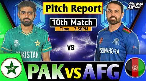 Asia Cup Pak Vs Afg Today Match Pitch Report Sharjah Cricket Hot Sex Picture