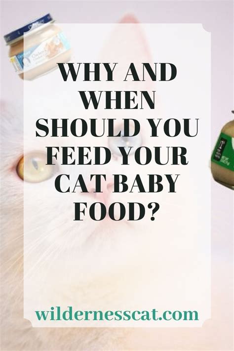 Can Cats Eat Baby Food Best Baby Food For Cats Wildernesscat Baby