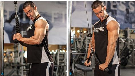 Arms By Alex Strong Biceps And Triceps Workout