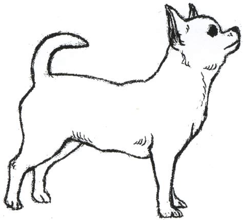 Chihuahua Clip Art