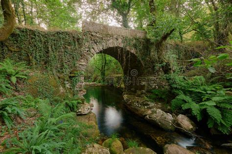 Old Stone Bridge Over A Beautiful River Running Through A Lush Forest