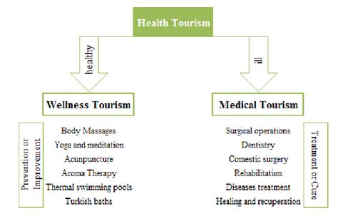 The Health Tourism System Download Scientific Diagram