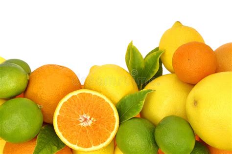 Fresh Citrus Fruit Stock Image Image Of Juice Orange 44632503