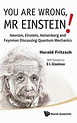 Sell, Buy or Rent You Are Wrong, MR Einstein!: Newton, Einstein, Hei ...