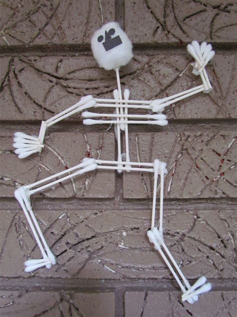 27 Human Skeleton Diagram Easy Rodinloulou
