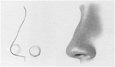 For a shortcut in your drawing, try placing them around 2/3 of the way between her nose and her ears. How to Draw the Nose - Profile View | RapidFireArt