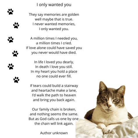 Loss Of A Pet Poems Honoring Mr Zachy Page 2 Of 2