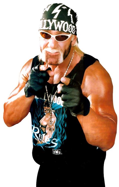 Hulk Hogan Wwe Hulk Hogan Wwf Superstars Wrestling Superstars