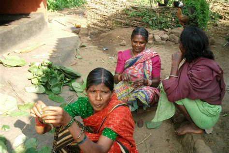 Indian Villagers Reap The Rewards Of Restoring Common Land