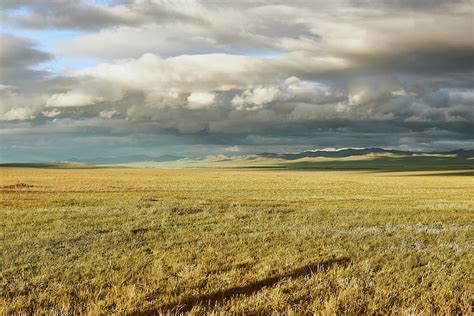 Mongolian Steppe Photograph By Dan Joseph Pixels