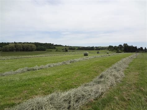 Free shipping on qualified orders. Quality of Winter Forage for Grass-fed Sheep - Cornell Small Farms