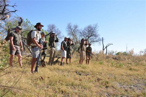 Reise Angebot Spurenlesen In Botswanas Wildnis Individuell And Sicher