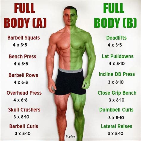 Compound And Isolation Exercise Cheat Sheet Exercice