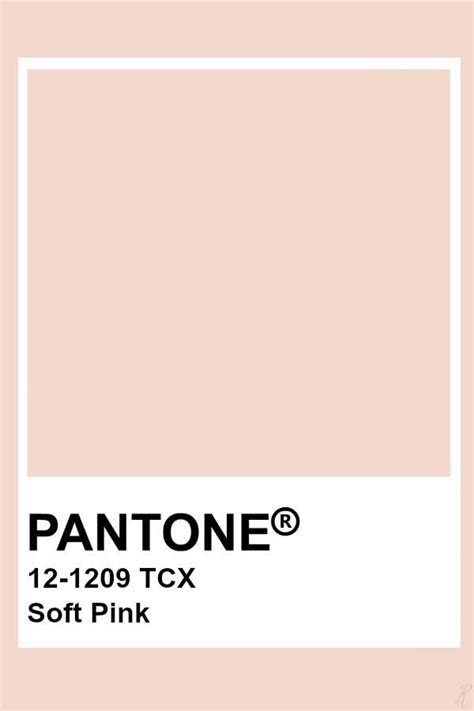 Pantone Soft Pink Pantone Colour Palettes Soft Pink Color Palette