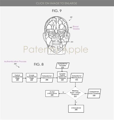 Future Versions Of Face Id Could Scan The Veins In Your Head Techspot