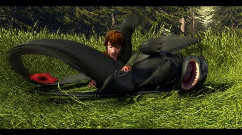 Rule 34 Dragon Female Feral How To Train Your Dragon Male Night Fury