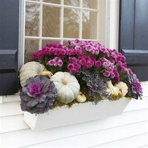 Perfect for homes, apartments, dorm rooms and. 41 Simple and Easy Fall Window Boxes Ideas On a Budget in ...