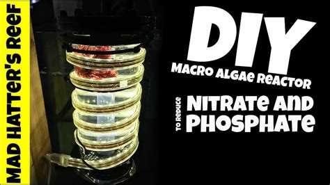 41 results for algae reactor. DIY Macro Algae Reactor to Reduce Nitrate and Phosphate ...