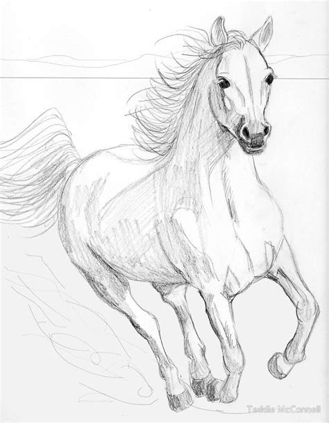 Pin By April Marie On Art Horse Pencil Drawing Horse Drawings Horse