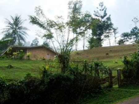 Villa cisarua puncak bogor 1. Indahnya Tempat Wisata di Puncak Bogor - Yoshiewafa