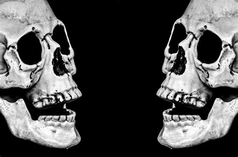 Skull Free Stock Photo - Public Domain Pictures