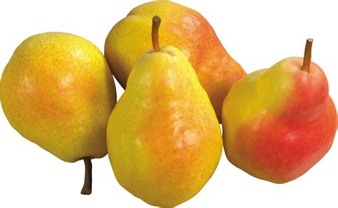 Pears Png Image Purepng Free Transparent Cc0 Png Image Library