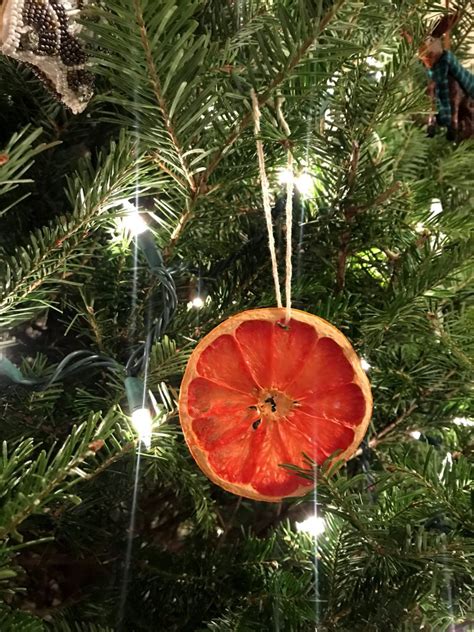 Dried Citrus Ornaments