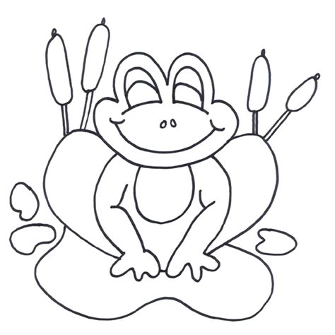 Print And Download Frog Coloring Pages Theme For Kids