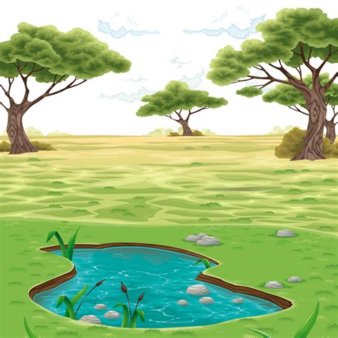 Download Tree Drawing With Color Png | PNG & GIF BASE