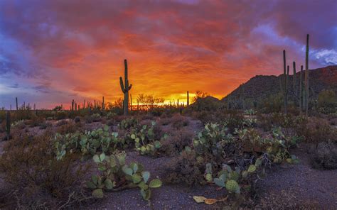 1280x1920 porsche 911 991.2 gt3 phone wallpaper.>. Sunset Beautiful Landscape Pima County County In Arizona Usa 4k Ultra Hd Sunset Wallpapers ...
