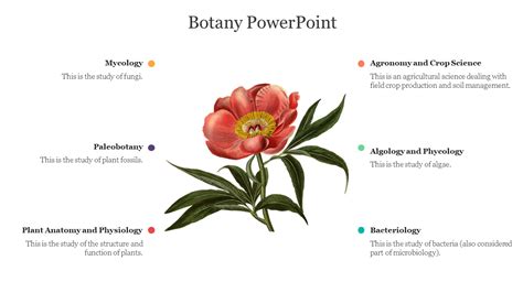 Get Botany Powerpoint Presentation Slide Template