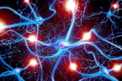 Brain Neurons Born Together Wire And Fire Together For Life Ro Science