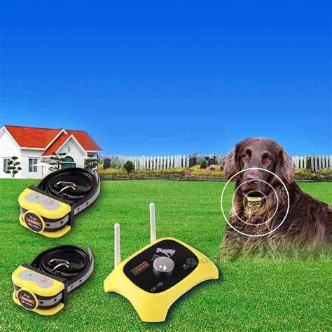 Best Wireless Dog Fence Reviews 2023