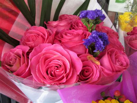 Enchanting flowers - pink roses | Floral, Flower designs, Rose