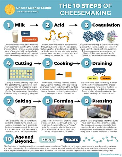 10 Steps Of Cheesemaking Infographic Cheese Science Toolkit Cheesemaking Creamery Cheese