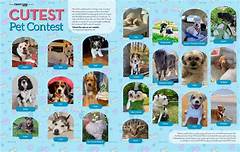 Prepare For An In Game Aww Fest Discover The Cutest Pet Clinic Ever