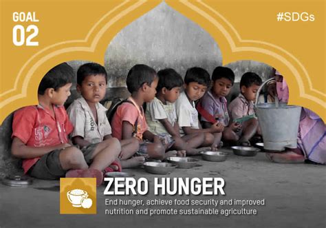 India S Stance On Sdg Zero Hunger