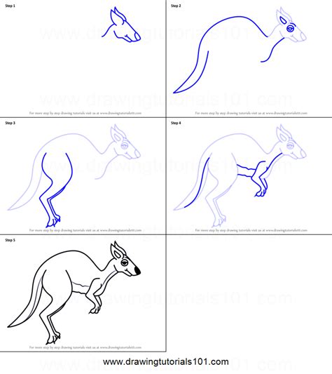 Kangaroo Drawing Step Step Wallpapers Galery