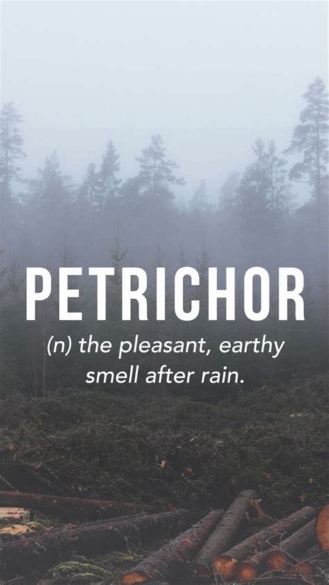 Petrichor 1960s Blend Of Petro ‘relating To Rocks The Smell Is