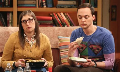 Tv Review ‘the Big Bang Theory The Tenant Disassociation