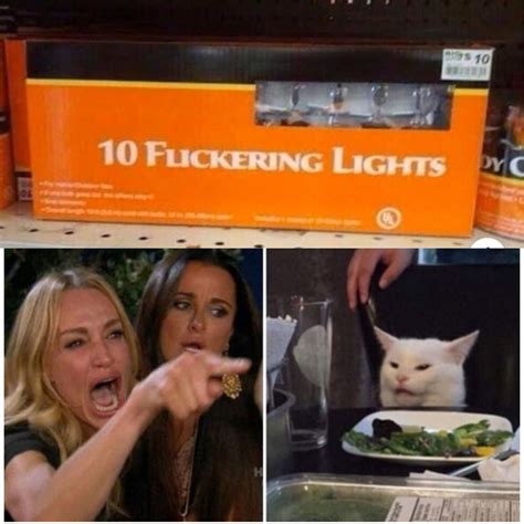 Woman Yelling At Cat Meme Generator Weve Explained It For You