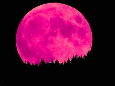 Catch The Uaes Strawberry Moon Tonight The Last One Of 2021 The
