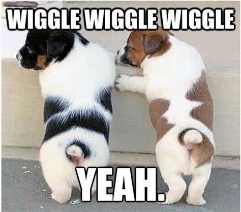Wiggle Wiggle Wiggle Dog Humor