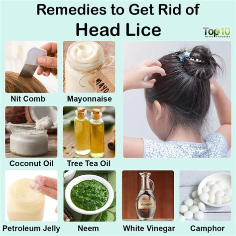 How To Get Rid Of Head Lice 10 Tips And Remedies Top 10 Home Remedies